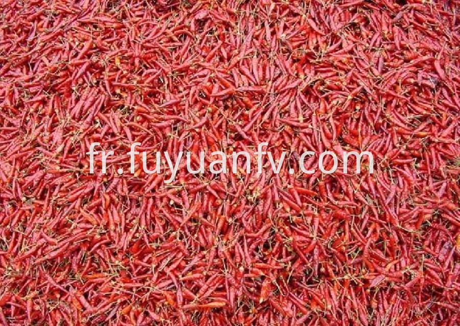 Chaotian Red Chili